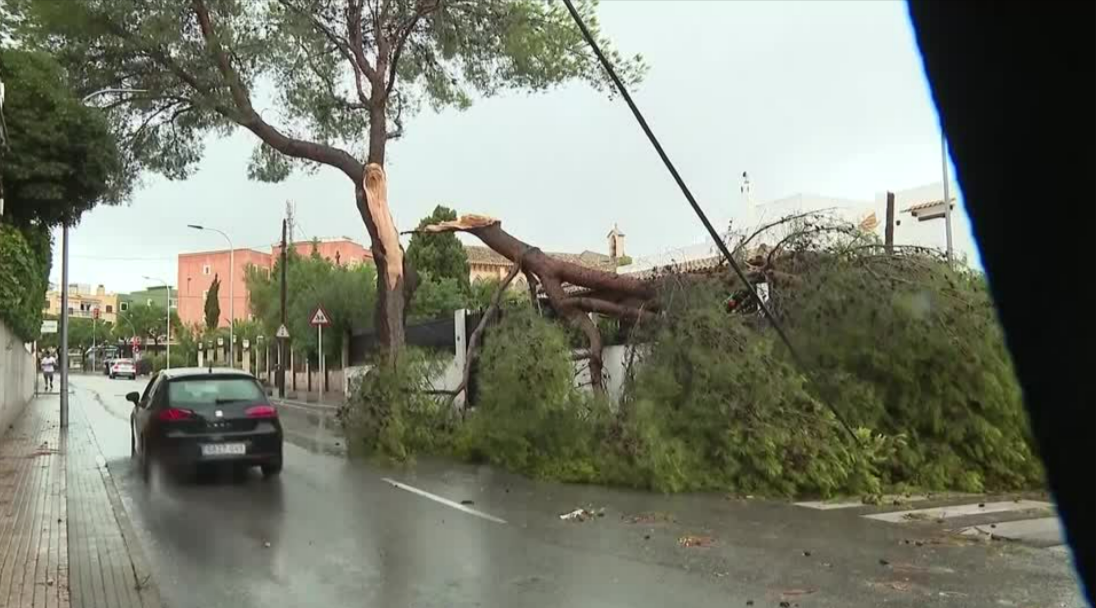 Eilmeldung! Sturm-Warnstufe "Orange" auf Mallorca - Segelboot mit 2 Deutschen an Bord wird vermisst!